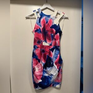 NWT Hello Molly Watercolor Dress